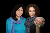 Neuronauka – drzwi do przyszłości (wywiad z prof. Anetą Brzezicką i prof. Kamilą Jankowiak-Siudą)