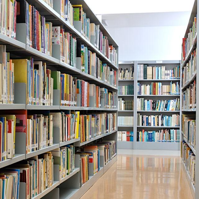 Biblioteka poznan