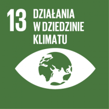 Działania w dziedzinie klimatu ikona trzynastego celu zrównoważonego rozwoju