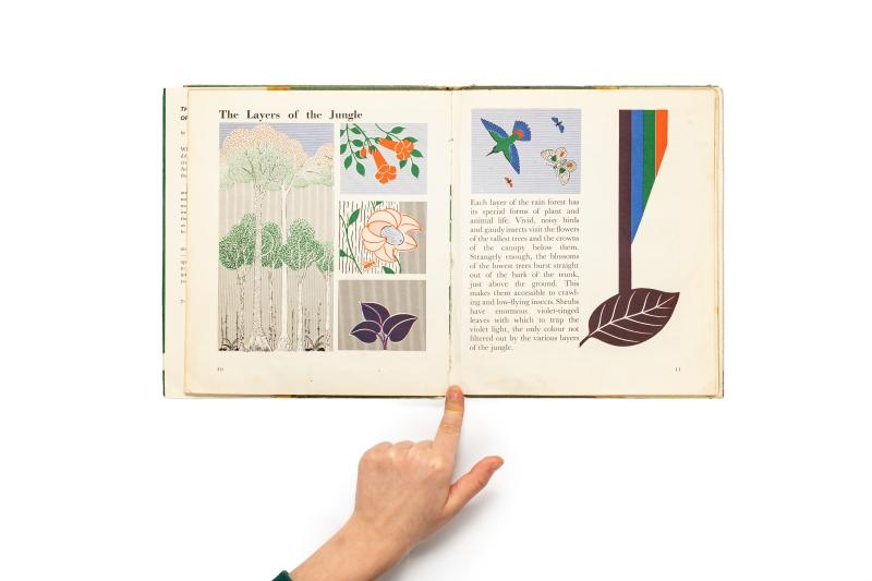 Otwarta książka z grafikami edukacyjnymi